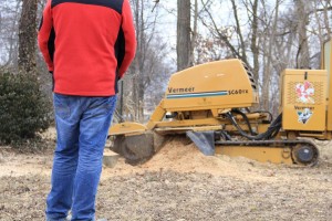 Climb-Ax tree service using their remote controlled stump grinder in Louisville, KY for stump removal.