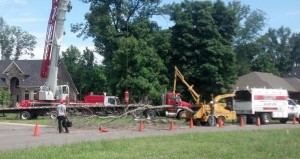 Louisville tree service using a massive one hundred seventy five ton crane for a tree removal.