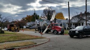 A Louisville tree forced to be removed by the city, because it was deemed hazardous to the community.