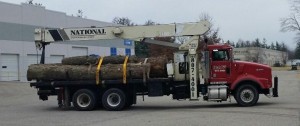 Boom truck hauls away another load of logs from another Louisville tree removal project.